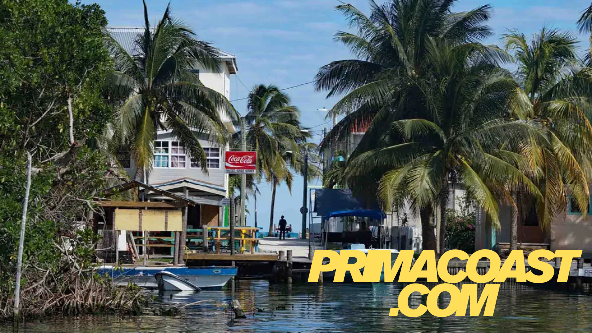 Primacoast.com Embrace the Coastal Life with Beachwear, Outdoor Gear latest guide 2025